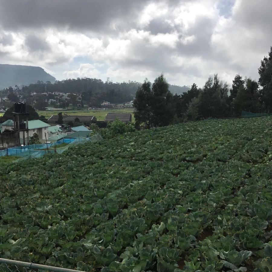 Dahlia Mount View Hotel Nuwara Eliya Eksteriør bilde